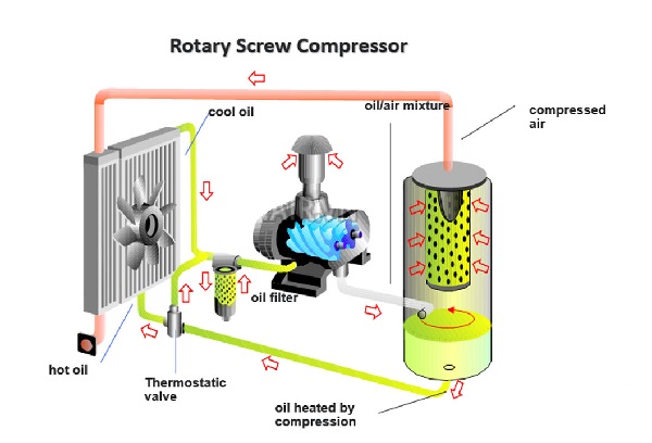 Nguyên lý hoạt động của máy nén khí trục vít không dầu