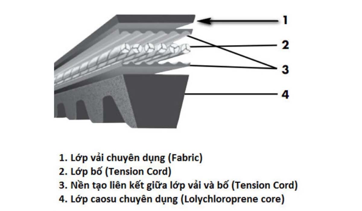 Cấu tạo dây Curoa răng gồm 4 phần chính